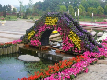 ����̫������԰