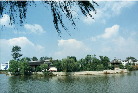 ��̳����ü����