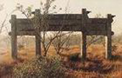 �����»�Ĺ