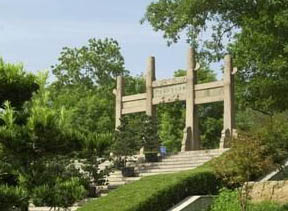 ������ӺĹ