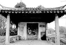 ������������Ĺ