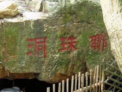 �������鶴