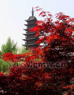 ���췽��԰