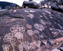 ���Ƹ۽������һ�