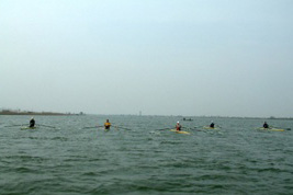 �γ������ӿ�