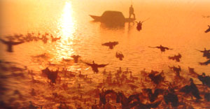 ���ʶ���