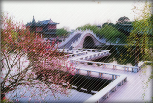 ���ݰ˹ֻ���