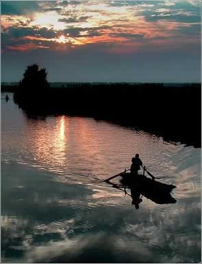 �˻����ݺ�����