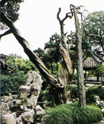 �˻�֣���ż����