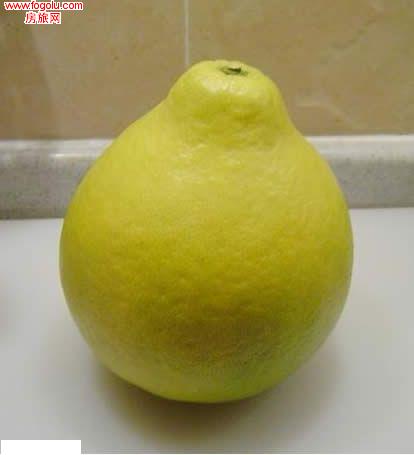 ������Ϣ��