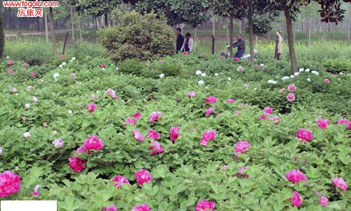 ������Ϣ��