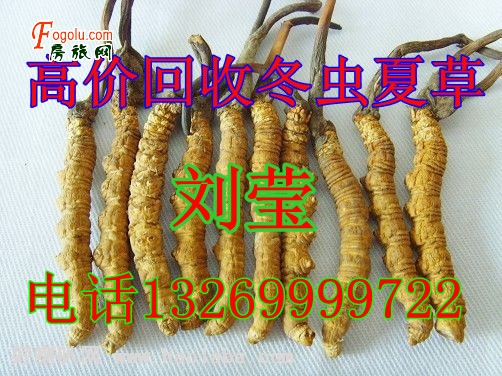 房旅网