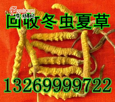 房旅网