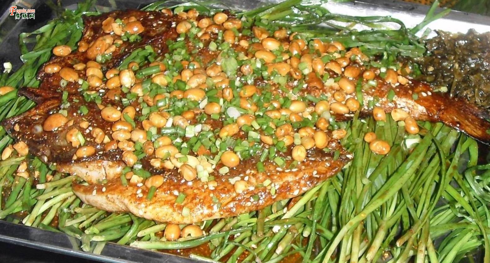 ������ɫ���� <��)#)))�Q