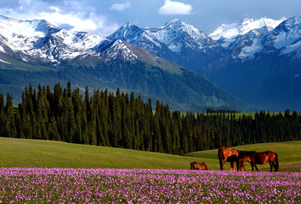  ��ع涨��δ��12���겻����������