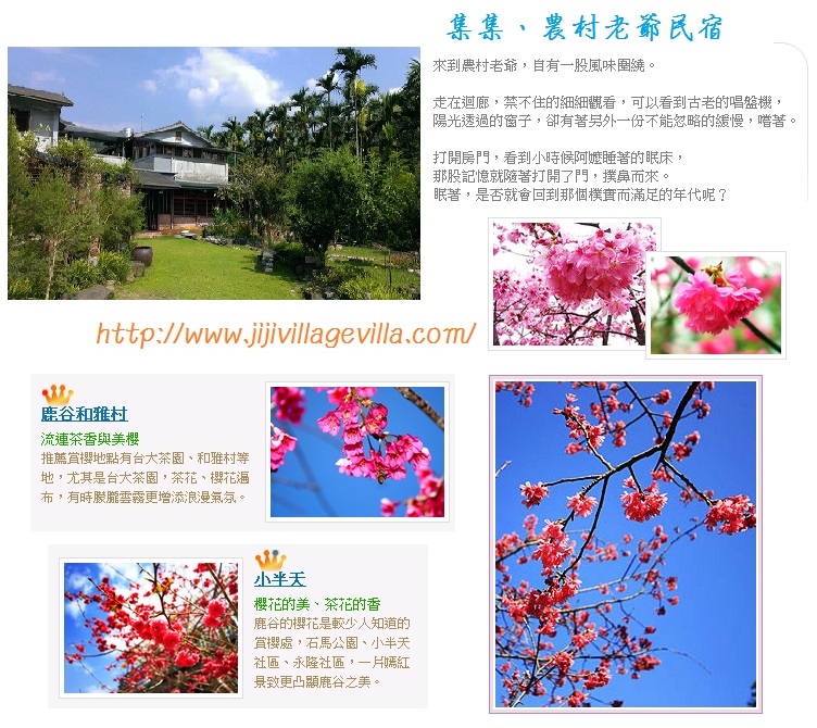 ����-��ӣ���͵���Ͷ