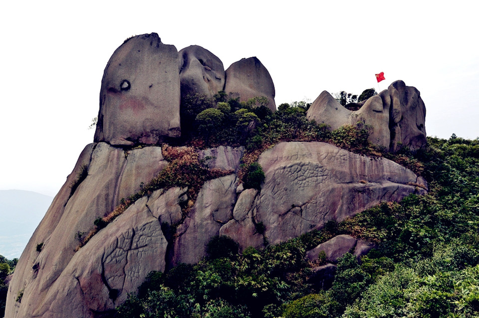  ��Ϫͷ÷����12��20�մ��������ڴ�Ƭ÷����