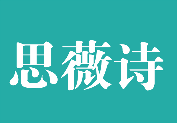  ��������ױƷ���޹�˾΢�̴���