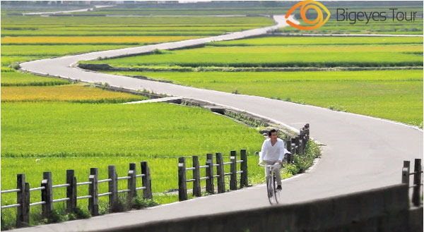 宝岛台湾高美湿地-清境农场的“自然气息”旅行线路