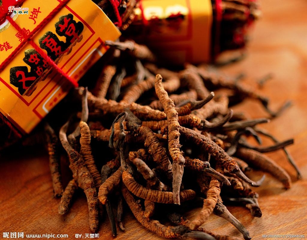  ���ն����Ĳ�13522262212�չ������Ĳ� 