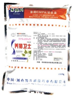  ������ʿ