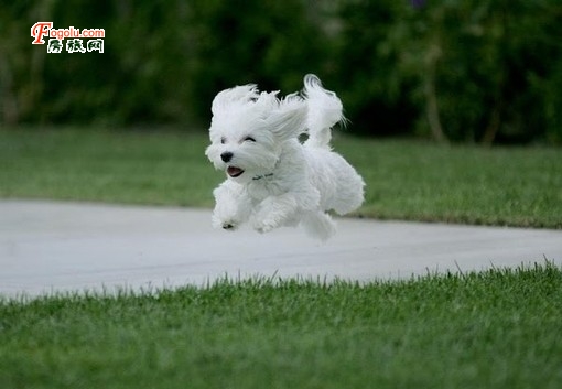  ����ת��ȥһ�׷��� ��������