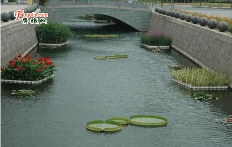  ����ˮ����������ˮ�������թ���Ӫ������ˮ���	