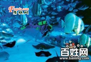  ʥ�Ǻ�������3��ͬ�δ���Ʊԭ��190Ԫ�ּ�100Ԫ��ѧ75Ԫ