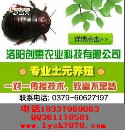 ��Ԫ��ֳ ��ֳ��Ԫ ��Ԫ��ֳǰ�� ��Ԫ��ֳ��ô��