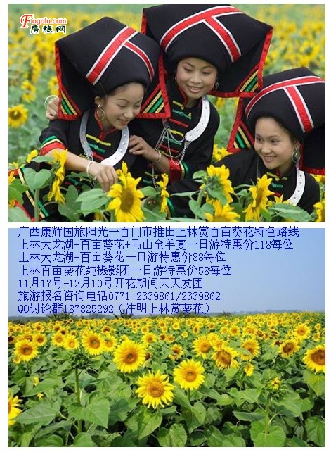  ֿ2012ҫؼӴһ88