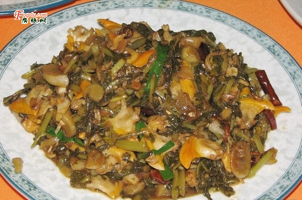 [��ɫ��ʳ] �������Ǹ���ɫ��ʳ�����ܲ�ӧ������