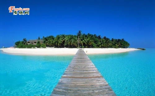  ���ɹŶ�����ɹ���������