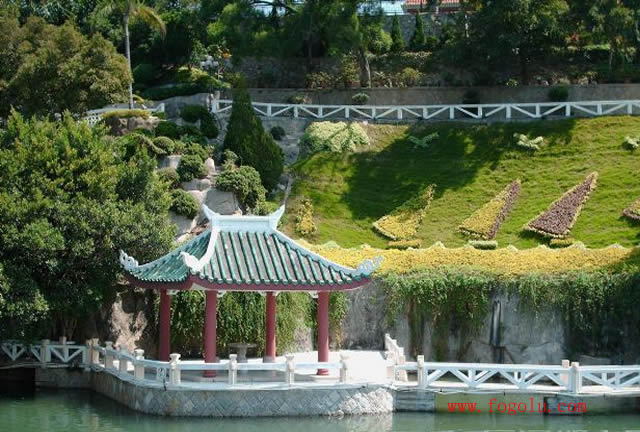 ���Ź�����