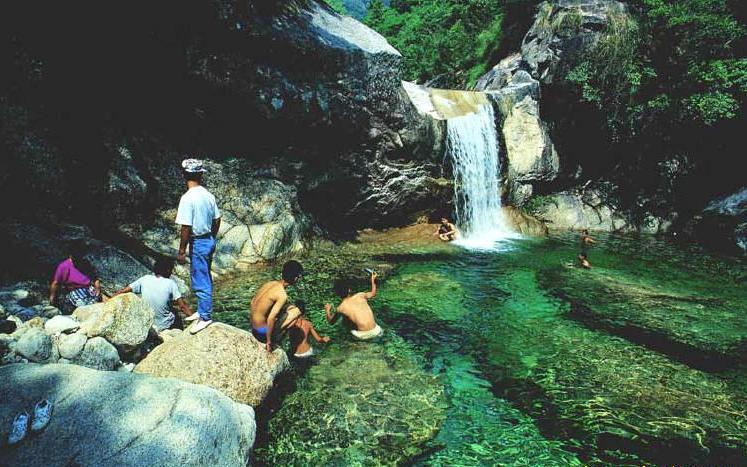 ��ɽ���� ��Ʊ50Ԫ