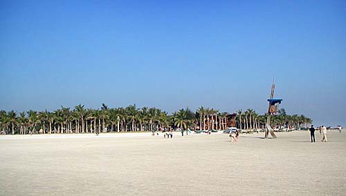 ������̲