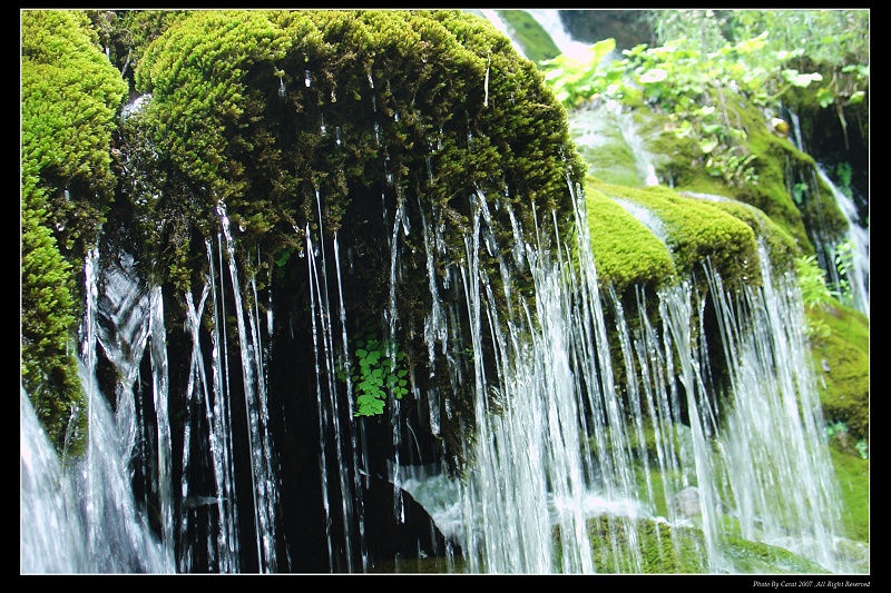 ��ɽ��Դ������ ��Ʊ42Ԫ