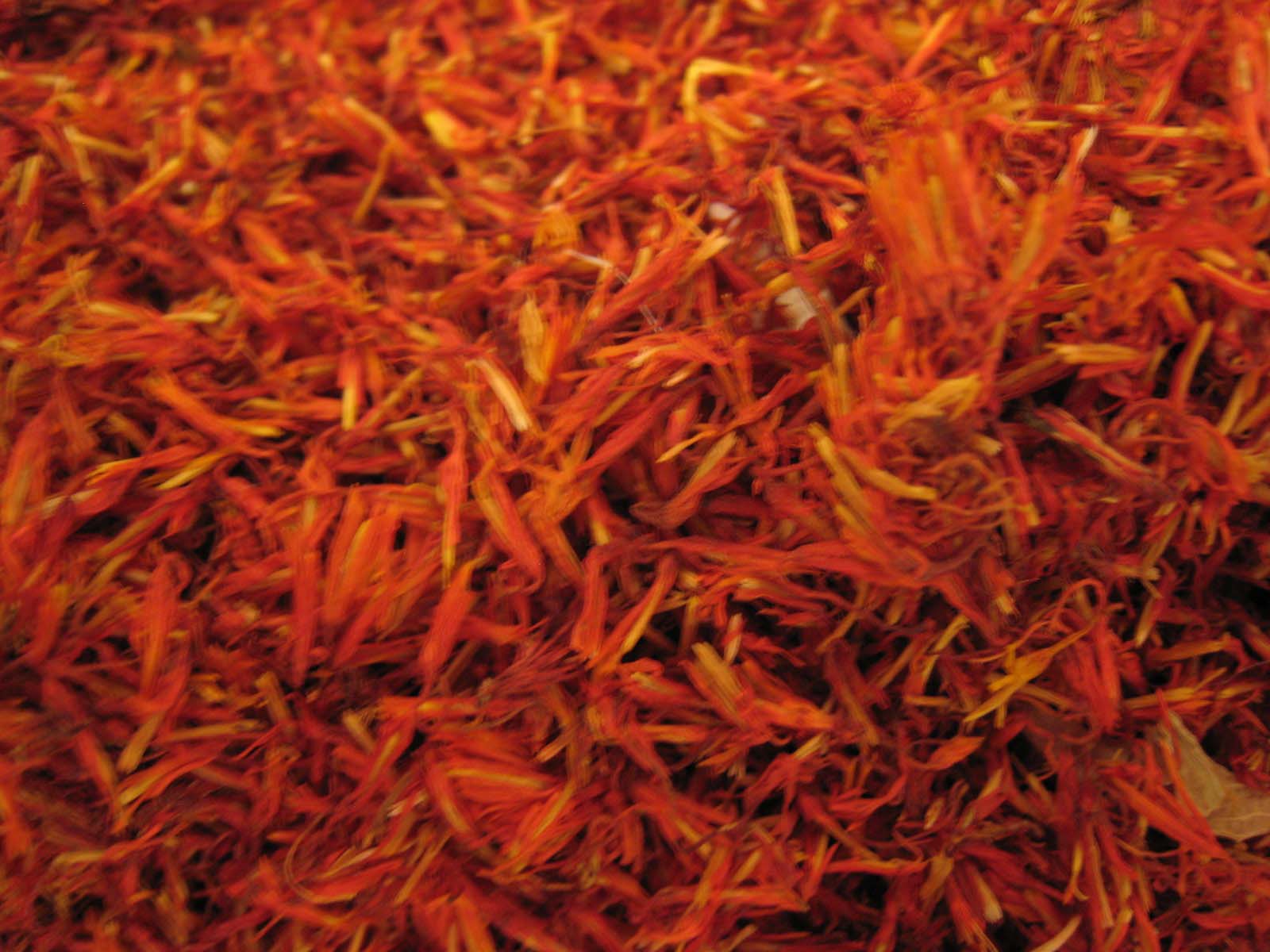 �غ컨--����