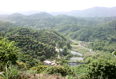  ���ʹ�԰����а�.���Ը�����