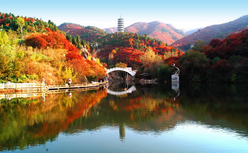 ��Ҷ����̬�Ļ�������