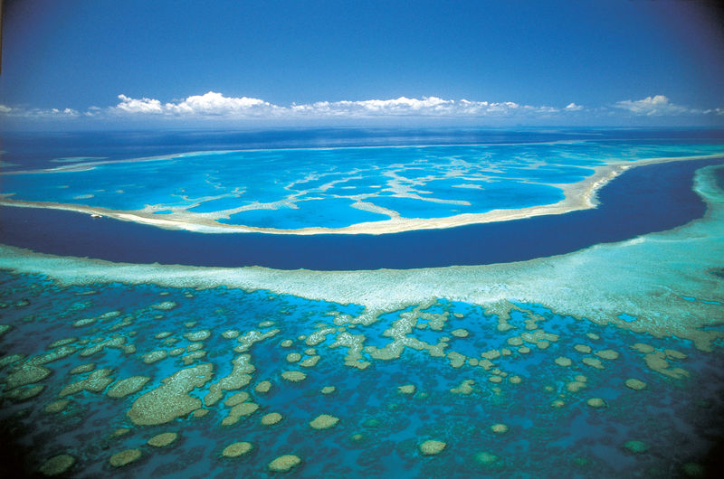 �󱤽���GREAT BARRIER REEF��