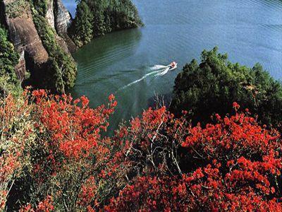 ������᪵�