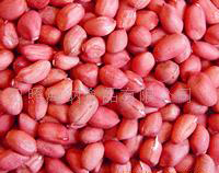  �߼۴���������