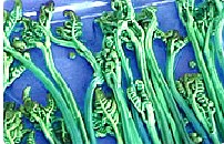  ����Ұ��ާ�ˣ�ާ�˻�