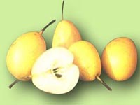 ���ݶ����� 