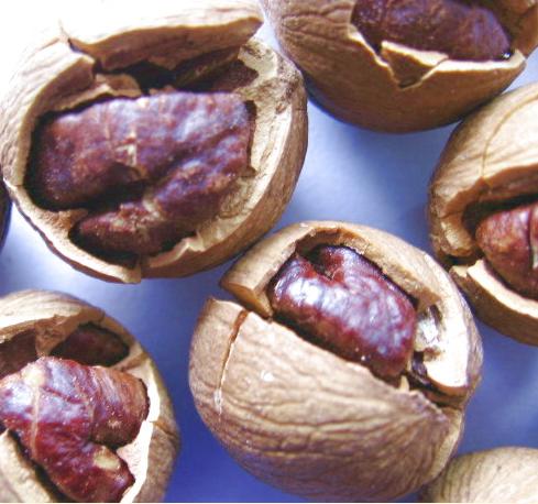 �ٰ�ɽ����