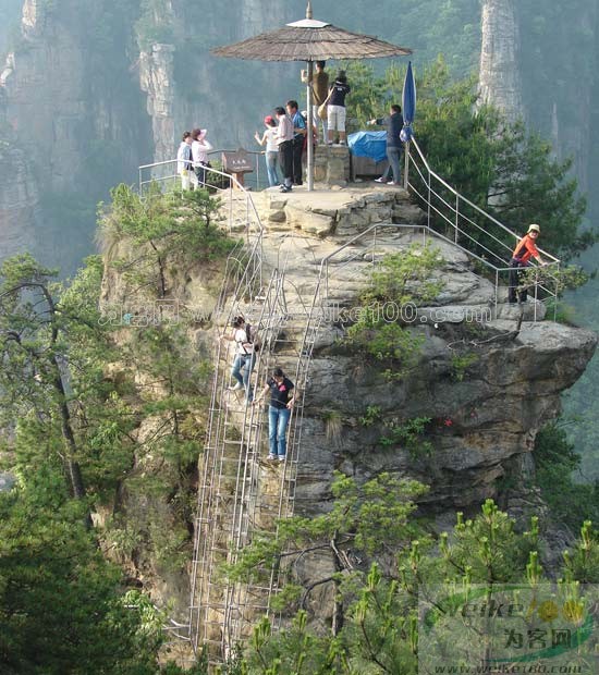 ��������Դ��ҽ�