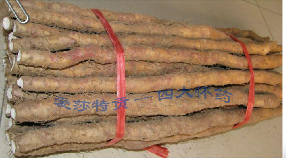 ��������������ɽҩ