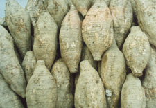 �����۸�