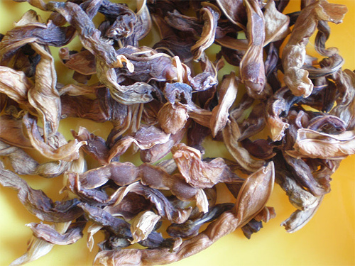 �ز����Ǹ�