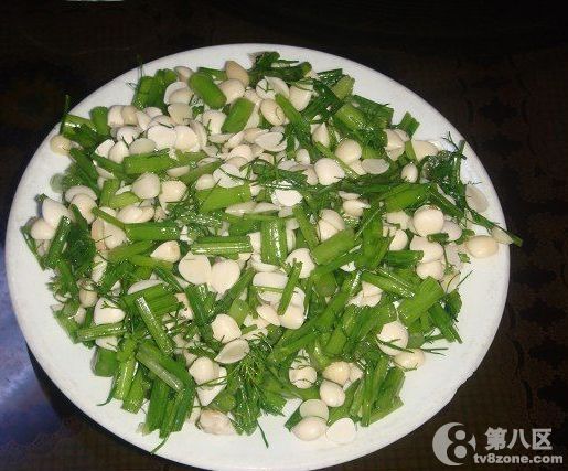 �ذ�ɽ���� 